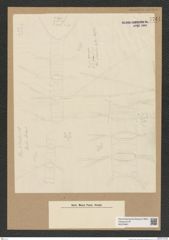 Diatomeae indet. Zeichnungen Sammlung Grunow Nr. 7741 (NHMW-BOT-W0376961)